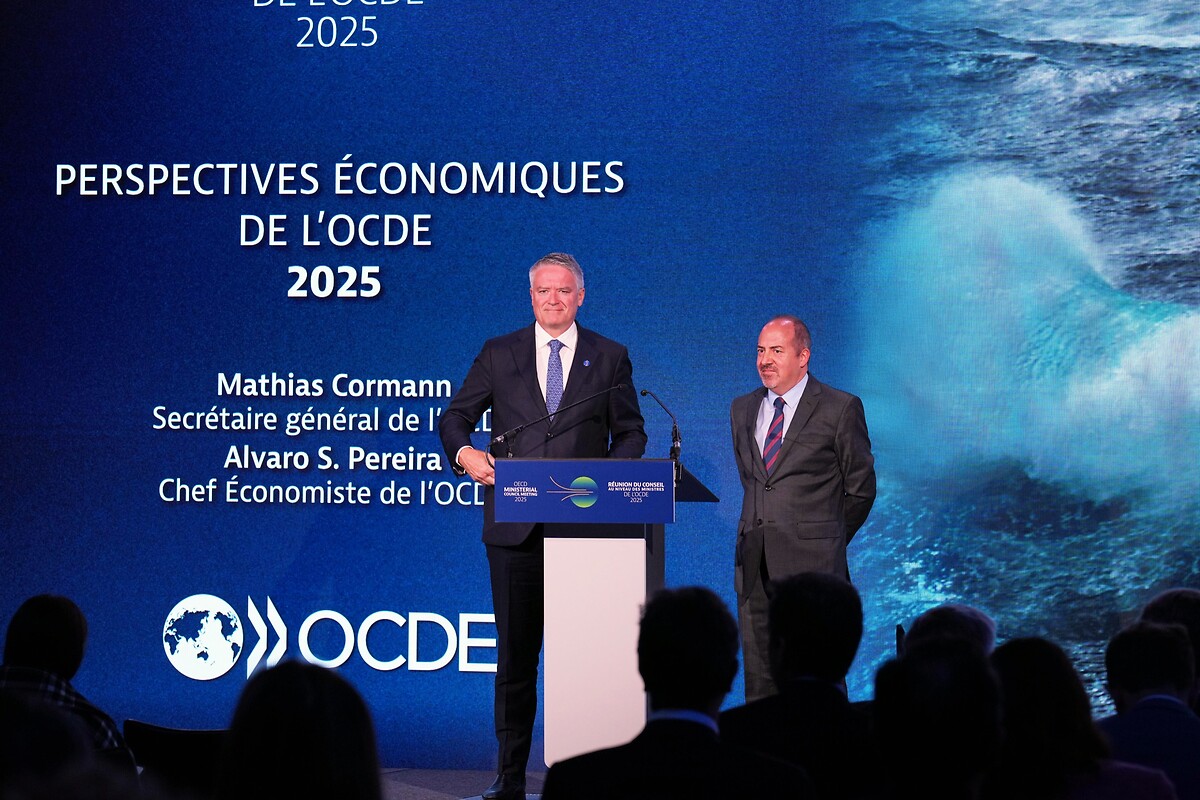 OECD Secretary General (left) with OECD Chief Economist.